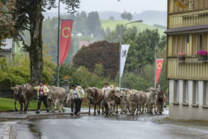 Appenzell, Appenzell Ausserrohden, Appenzeller Hinterland, Brauchtum, Landwirtschaft, Ostschweiz, Schweiz, Schönengrund, Sennen, Suisse, Switzerland, Tracht, Viehschau, Wirtschaft, tradition