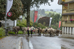 Appenzell, Appenzell Ausserrohden, Appenzeller Hinterland, Brauchtum, Landwirtschaft, Ostschweiz, Schweiz, Schönengrund, Sennen, Suisse, Switzerland, Tracht, Viehschau, Wirtschaft, tradition