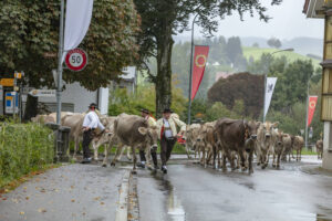 Appenzell, Appenzell Ausserrohden, Appenzeller Hinterland, Brauchtum, Landwirtschaft, Ostschweiz, Schweiz, Schönengrund, Sennen, Suisse, Switzerland, Tracht, Viehschau, Wirtschaft, tradition