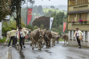 Appenzell, Appenzell Ausserrohden, Appenzeller Hinterland, Brauchtum, Landwirtschaft, Ostschweiz, Schweiz, Schönengrund, Sennen, Suisse, Switzerland, Tracht, Viehschau, Wirtschaft, tradition