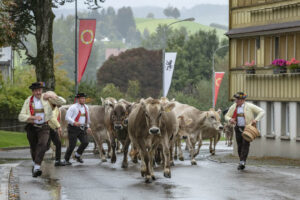 Appenzell, Appenzell Ausserrohden, Appenzeller Hinterland, Brauchtum, Landwirtschaft, Ostschweiz, Schweiz, Schönengrund, Sennen, Suisse, Switzerland, Tracht, Viehschau, Wirtschaft, tradition