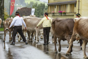 Appenzell, Appenzell Ausserrohden, Appenzeller Hinterland, Brauchtum, Landwirtschaft, Ostschweiz, Schweiz, Schönengrund, Sennen, Suisse, Switzerland, Tracht, Viehschau, Wirtschaft, tradition