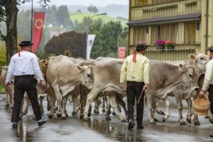 Appenzell, Appenzell Ausserrohden, Appenzeller Hinterland, Brauchtum, Landwirtschaft, Ostschweiz, Schweiz, Schönengrund, Sennen, Suisse, Switzerland, Tracht, Viehschau, Wirtschaft, tradition