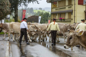 Appenzell, Appenzell Ausserrohden, Appenzeller Hinterland, Brauchtum, Landwirtschaft, Ostschweiz, Schweiz, Schönengrund, Sennen, Suisse, Switzerland, Tracht, Viehschau, Wirtschaft, tradition