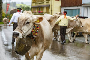 Appenzell, Appenzell Ausserrohden, Appenzeller Hinterland, Brauchtum, Landwirtschaft, Ostschweiz, Schweiz, Schönengrund, Sennen, Suisse, Switzerland, Tracht, Viehschau, Wirtschaft, tradition