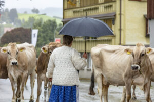 Appenzell, Appenzell Ausserrohden, Appenzeller Hinterland, Brauchtum, Landwirtschaft, Ostschweiz, Schweiz, Schönengrund, Sennen, Suisse, Switzerland, Tracht, Viehschau, Wirtschaft, tradition