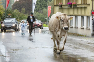 Appenzell, Appenzell Ausserrohden, Appenzeller Hinterland, Brauchtum, Landwirtschaft, Ostschweiz, Schweiz, Schönengrund, Sennen, Suisse, Switzerland, Tracht, Viehschau, Wirtschaft, tradition