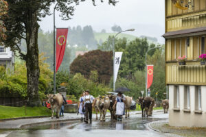Appenzell, Appenzell Ausserrohden, Appenzeller Hinterland, Brauchtum, Landwirtschaft, Ostschweiz, Schweiz, Schönengrund, Sennen, Suisse, Switzerland, Tracht, Viehschau, Wirtschaft, tradition