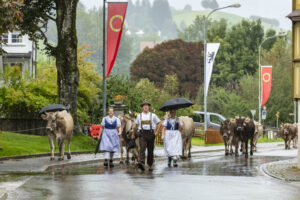 Appenzell, Appenzell Ausserrohden, Appenzeller Hinterland, Brauchtum, Landwirtschaft, Ostschweiz, Schweiz, Schönengrund, Sennen, Suisse, Switzerland, Tracht, Viehschau, Wirtschaft, tradition