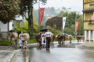 Appenzell, Appenzell Ausserrohden, Appenzeller Hinterland, Brauchtum, Landwirtschaft, Ostschweiz, Schweiz, Schönengrund, Sennen, Suisse, Switzerland, Tracht, Viehschau, Wirtschaft, tradition