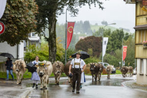 Appenzell, Appenzell Ausserrohden, Appenzeller Hinterland, Brauchtum, Landwirtschaft, Ostschweiz, Schweiz, Schönengrund, Sennen, Suisse, Switzerland, Tracht, Viehschau, Wirtschaft, tradition