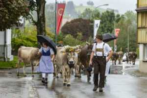 Appenzell, Appenzell Ausserrohden, Appenzeller Hinterland, Brauchtum, Landwirtschaft, Ostschweiz, Schweiz, Schönengrund, Sennen, Suisse, Switzerland, Tracht, Viehschau, Wirtschaft, tradition