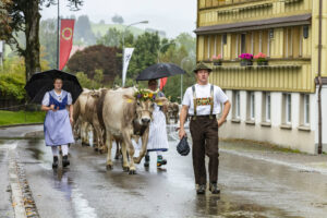 Appenzell, Appenzell Ausserrohden, Appenzeller Hinterland, Brauchtum, Landwirtschaft, Ostschweiz, Schweiz, Schönengrund, Sennen, Suisse, Switzerland, Tracht, Viehschau, Wirtschaft, tradition