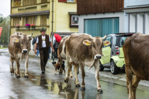 Appenzell, Appenzell Ausserrohden, Appenzeller Hinterland, Brauchtum, Landwirtschaft, Ostschweiz, Schweiz, Schönengrund, Sennen, Suisse, Switzerland, Tracht, Viehschau, Wirtschaft, tradition