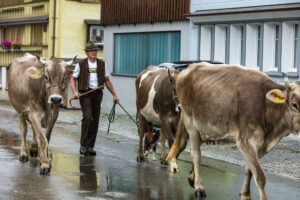 Appenzell, Appenzell Ausserrohden, Appenzeller Hinterland, Brauchtum, Landwirtschaft, Ostschweiz, Schweiz, Schönengrund, Sennen, Suisse, Switzerland, Tracht, Viehschau, Wirtschaft, tradition