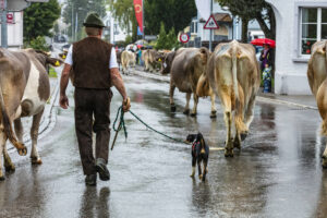 Appenzell, Appenzell Ausserrohden, Appenzeller Hinterland, Brauchtum, Landwirtschaft, Ostschweiz, Schweiz, Schönengrund, Sennen, Suisse, Switzerland, Tracht, Viehschau, Wirtschaft, tradition