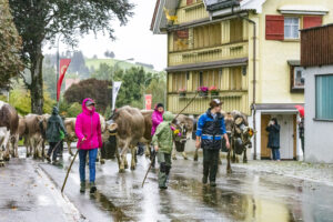 Appenzell, Appenzell Ausserrohden, Appenzeller Hinterland, Brauchtum, Landwirtschaft, Ostschweiz, Schweiz, Schönengrund, Sennen, Suisse, Switzerland, Tracht, Viehschau, Wirtschaft, tradition