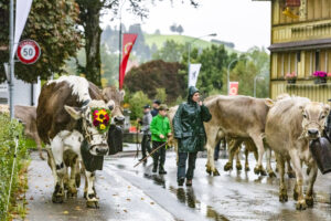 Appenzell, Appenzell Ausserrohden, Appenzeller Hinterland, Brauchtum, Landwirtschaft, Ostschweiz, Schweiz, Schönengrund, Sennen, Suisse, Switzerland, Tracht, Viehschau, Wirtschaft, tradition