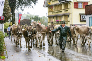 Appenzell, Appenzell Ausserrohden, Appenzeller Hinterland, Brauchtum, Landwirtschaft, Ostschweiz, Schweiz, Schönengrund, Sennen, Suisse, Switzerland, Tracht, Viehschau, Wirtschaft, tradition
