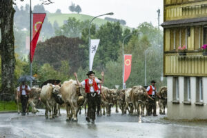 Appenzell, Appenzell Ausserrohden, Appenzeller Hinterland, Brauchtum, Landwirtschaft, Ostschweiz, Schweiz, Schönengrund, Sennen, Suisse, Switzerland, Tracht, Viehschau, Wirtschaft, tradition