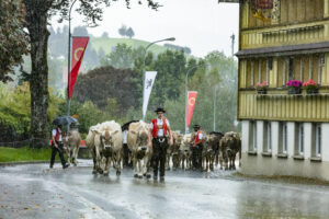 Appenzell, Appenzell Ausserrohden, Appenzeller Hinterland, Brauchtum, Landwirtschaft, Ostschweiz, Schweiz, Schönengrund, Sennen, Suisse, Switzerland, Tracht, Viehschau, Wirtschaft, tradition