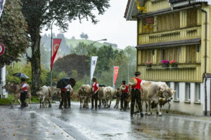 Appenzell, Appenzell Ausserrohden, Appenzeller Hinterland, Brauchtum, Landwirtschaft, Ostschweiz, Schweiz, Schönengrund, Sennen, Suisse, Switzerland, Tracht, Viehschau, Wirtschaft, tradition