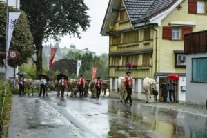 Appenzell, Appenzell Ausserrohden, Appenzeller Hinterland, Brauchtum, Landwirtschaft, Ostschweiz, Schweiz, Schönengrund, Sennen, Suisse, Switzerland, Tracht, Viehschau, Wirtschaft, tradition