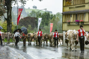 Appenzell, Appenzell Ausserrohden, Appenzeller Hinterland, Brauchtum, Landwirtschaft, Ostschweiz, Schweiz, Schönengrund, Sennen, Suisse, Switzerland, Tracht, Viehschau, Wirtschaft, tradition