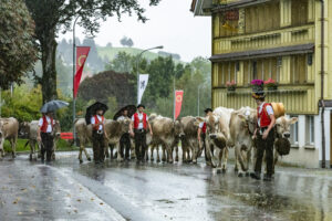 Appenzell, Appenzell Ausserrohden, Appenzeller Hinterland, Brauchtum, Landwirtschaft, Ostschweiz, Schweiz, Schönengrund, Sennen, Suisse, Switzerland, Tracht, Viehschau, Wirtschaft, tradition