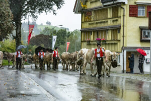 Appenzell, Appenzell Ausserrohden, Appenzeller Hinterland, Brauchtum, Landwirtschaft, Ostschweiz, Schweiz, Schönengrund, Sennen, Suisse, Switzerland, Tracht, Viehschau, Wirtschaft, tradition