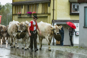 Appenzell, Appenzell Ausserrohden, Appenzeller Hinterland, Brauchtum, Landwirtschaft, Ostschweiz, Schweiz, Schönengrund, Sennen, Suisse, Switzerland, Tracht, Viehschau, Wirtschaft, tradition
