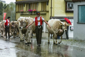 Appenzell, Appenzell Ausserrohden, Appenzeller Hinterland, Brauchtum, Landwirtschaft, Ostschweiz, Schweiz, Schönengrund, Sennen, Suisse, Switzerland, Tracht, Viehschau, Wirtschaft, tradition
