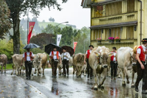 Appenzell, Appenzell Ausserrohden, Appenzeller Hinterland, Brauchtum, Landwirtschaft, Ostschweiz, Schweiz, Schönengrund, Sennen, Suisse, Switzerland, Tracht, Viehschau, Wirtschaft, tradition