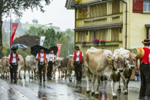 Appenzell, Appenzell Ausserrohden, Appenzeller Hinterland, Brauchtum, Landwirtschaft, Ostschweiz, Schweiz, Schönengrund, Sennen, Suisse, Switzerland, Tracht, Viehschau, Wirtschaft, tradition