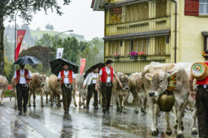 Appenzell, Appenzell Ausserrohden, Appenzeller Hinterland, Brauchtum, Landwirtschaft, Ostschweiz, Schweiz, Schönengrund, Sennen, Suisse, Switzerland, Tracht, Viehschau, Wirtschaft, tradition