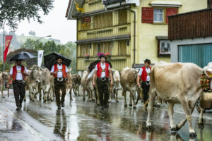 Appenzell, Appenzell Ausserrohden, Appenzeller Hinterland, Brauchtum, Landwirtschaft, Ostschweiz, Schweiz, Schönengrund, Sennen, Suisse, Switzerland, Tracht, Viehschau, Wirtschaft, tradition
