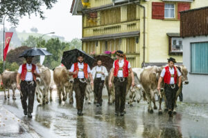 Appenzell, Appenzell Ausserrohden, Appenzeller Hinterland, Brauchtum, Landwirtschaft, Ostschweiz, Schweiz, Schönengrund, Sennen, Suisse, Switzerland, Tracht, Viehschau, Wirtschaft, tradition