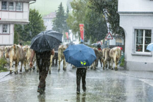 Appenzell, Appenzell Ausserrohden, Appenzeller Hinterland, Brauchtum, Landwirtschaft, Ostschweiz, Schweiz, Schönengrund, Sennen, Suisse, Switzerland, Tracht, Viehschau, Wirtschaft, tradition