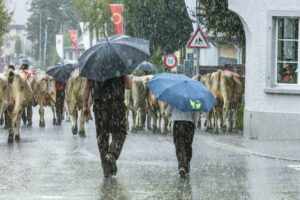 Appenzell, Appenzell Ausserrohden, Appenzeller Hinterland, Brauchtum, Landwirtschaft, Ostschweiz, Schweiz, Schönengrund, Sennen, Suisse, Switzerland, Tracht, Viehschau, Wirtschaft, tradition