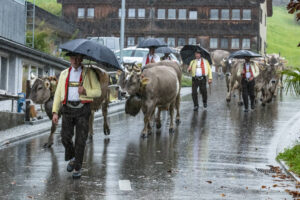 Appenzell, Appenzell Ausserrohden, Appenzeller Hinterland, Brauchtum, Landwirtschaft, Ostschweiz, Schweiz, Schönengrund, Sennen, Suisse, Switzerland, Tracht, Viehschau, Wirtschaft, tradition