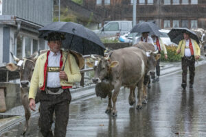 Appenzell, Appenzell Ausserrohden, Appenzeller Hinterland, Brauchtum, Landwirtschaft, Ostschweiz, Schweiz, Schönengrund, Sennen, Suisse, Switzerland, Tracht, Viehschau, Wirtschaft, tradition