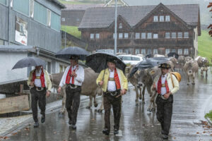 Appenzell, Appenzell Ausserrohden, Appenzeller Hinterland, Brauchtum, Landwirtschaft, Ostschweiz, Schweiz, Schönengrund, Sennen, Suisse, Switzerland, Tracht, Viehschau, Wirtschaft, tradition
