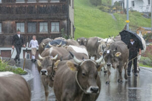 Appenzell, Appenzell Ausserrohden, Appenzeller Hinterland, Brauchtum, Landwirtschaft, Ostschweiz, Schweiz, Schönengrund, Sennen, Suisse, Switzerland, Tracht, Viehschau, Wirtschaft, tradition