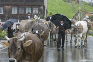 Appenzell, Appenzell Ausserrohden, Appenzeller Hinterland, Brauchtum, Landwirtschaft, Ostschweiz, Schweiz, Schönengrund, Sennen, Suisse, Switzerland, Tracht, Viehschau, Wirtschaft, tradition