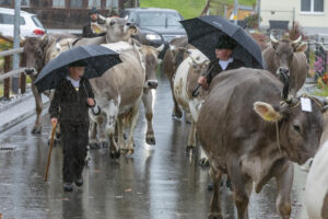Appenzell, Appenzell Ausserrohden, Appenzeller Hinterland, Brauchtum, Landwirtschaft, Ostschweiz, Schweiz, Schönengrund, Sennen, Suisse, Switzerland, Tracht, Viehschau, Wirtschaft, tradition