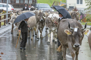 Appenzell, Appenzell Ausserrohden, Appenzeller Hinterland, Brauchtum, Landwirtschaft, Ostschweiz, Schweiz, Schönengrund, Sennen, Suisse, Switzerland, Tracht, Viehschau, Wirtschaft, tradition