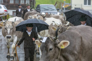Appenzell, Appenzell Ausserrohden, Appenzeller Hinterland, Brauchtum, Landwirtschaft, Ostschweiz, Schweiz, Schönengrund, Sennen, Suisse, Switzerland, Tracht, Viehschau, Wirtschaft, tradition