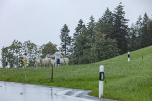 Appenzell, Appenzell Ausserrohden, Appenzeller Hinterland, Brauchtum, Landwirtschaft, Ostschweiz, Schweiz, Schönengrund, Sennen, Suisse, Switzerland, Tracht, Viehschau, Wirtschaft, tradition