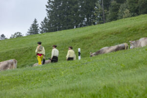 Appenzell, Appenzell Ausserrohden, Appenzeller Hinterland, Brauchtum, Landwirtschaft, Ostschweiz, Schweiz, Schönengrund, Sennen, Suisse, Switzerland, Tracht, Viehschau, Wirtschaft, tradition