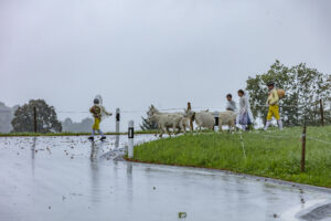 Appenzell, Appenzell Ausserrohden, Appenzeller Hinterland, Brauchtum, Landwirtschaft, Ostschweiz, Schweiz, Schönengrund, Sennen, Suisse, Switzerland, Tracht, Viehschau, Wirtschaft, tradition
